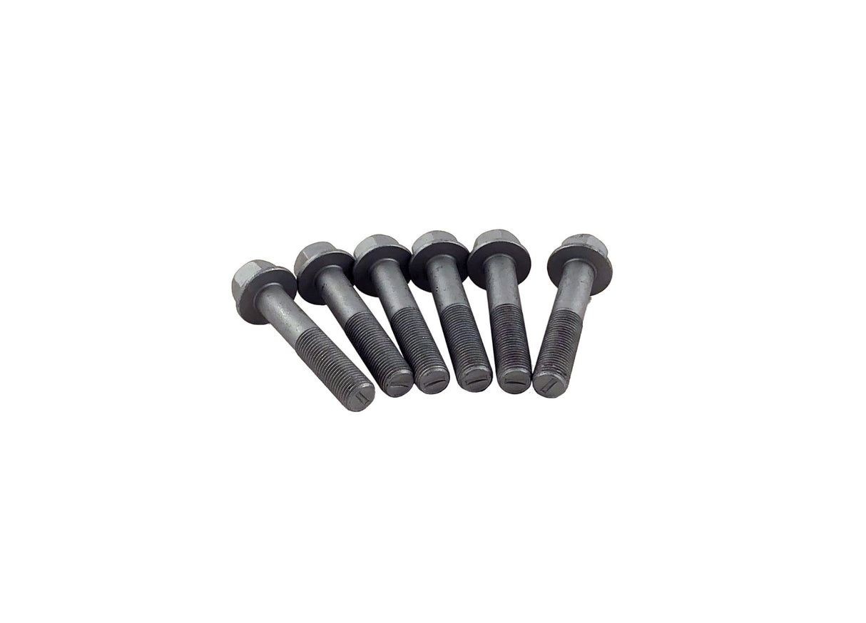 Yamaha 6EK-W4624-00-00 - Engine Timing Belt with Rotor Bolts