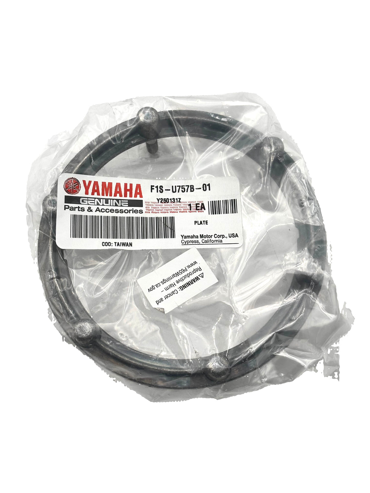 Yamaha F1S-U757B-01-00 - Plate