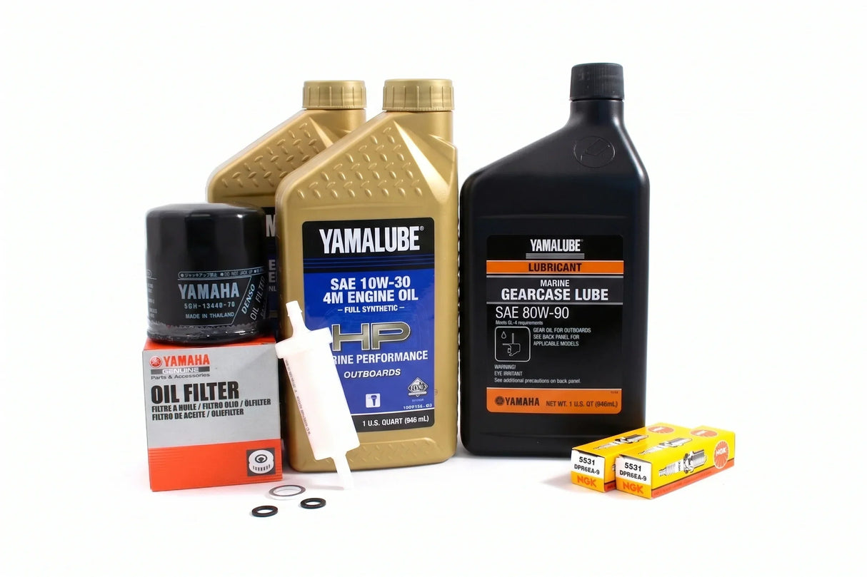 Yamaha F25 100-Hr. Service Kit 2000-2004 10W-30 Full Synthetic