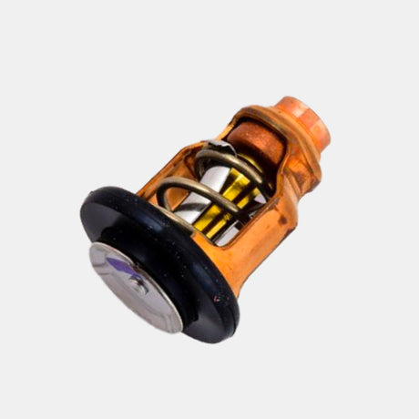 Yamaha Thermostats