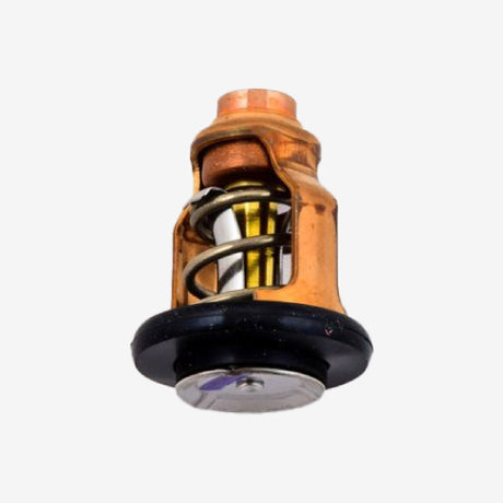 Yamaha Thermostats