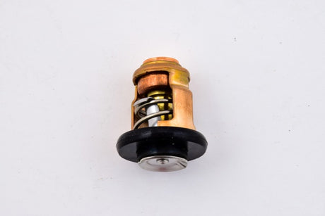 Yamaha 66M-12411-01-00 - Thermostat