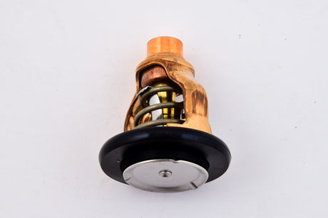 Yamaha 6AW-12411-00-00 - Thermostat
