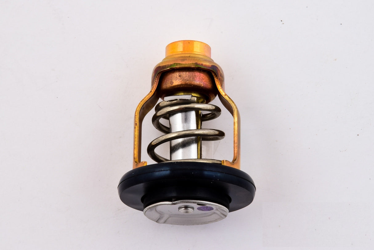 Yamaha 6CE-12411-00-00 - Thermostat