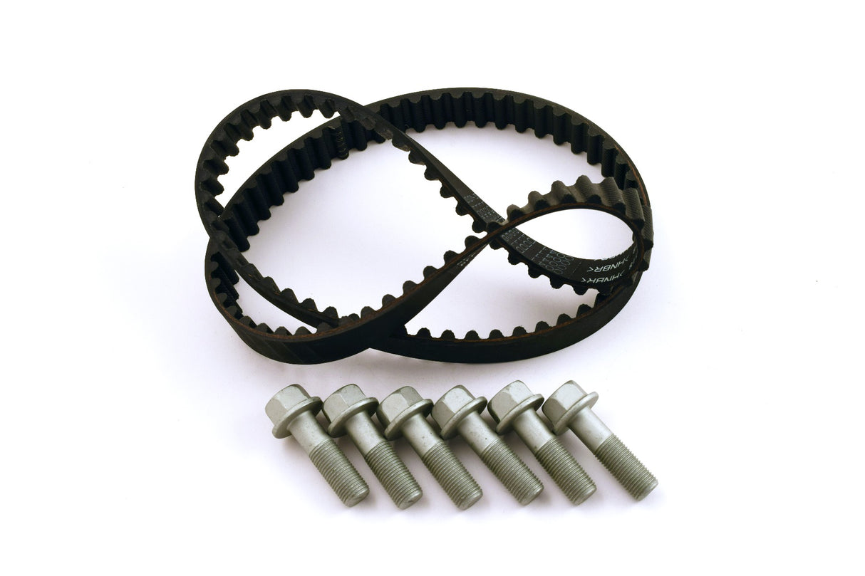 Yamaha 6FP-W4624-00-00 - Engine Timing Belt with Rotor Bolts