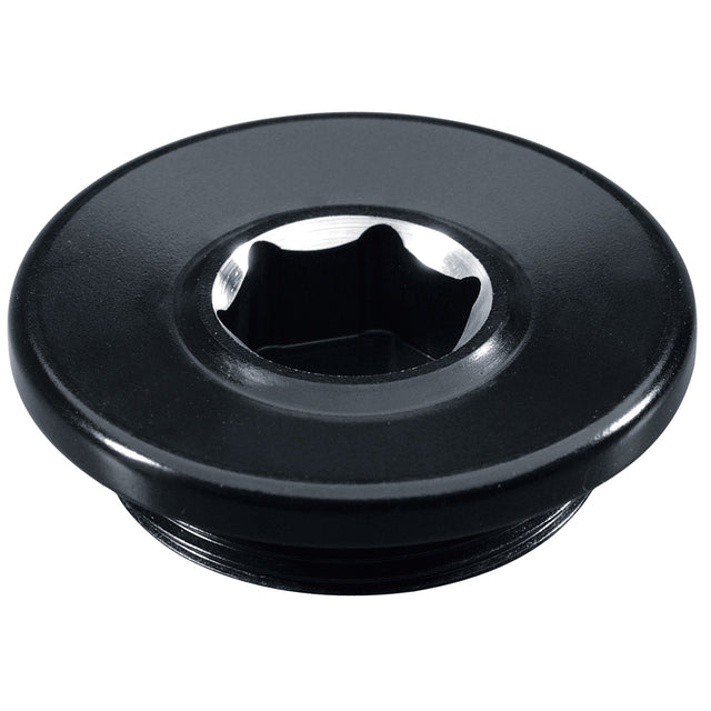 Yamaha 5XC-E51B0-V0-00 - Timing Plug, Black 14MM